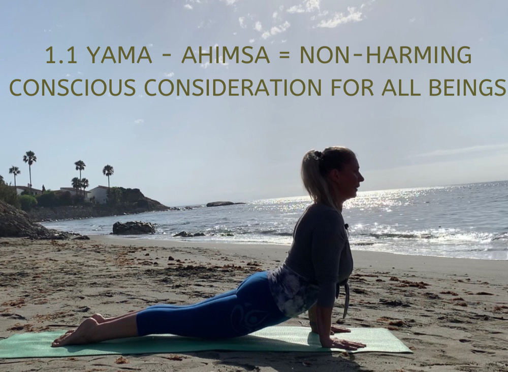 1.1 Yama: Ahimsa – Non harming